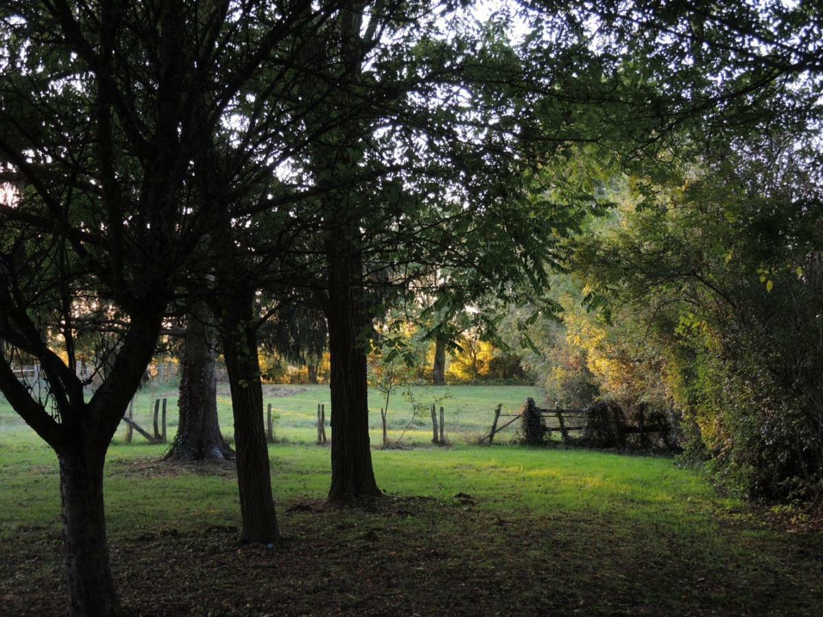 Hamac Et Potager Gite Et Chambre D'Hotes La Chapelle-de-Bragny Buitenkant foto