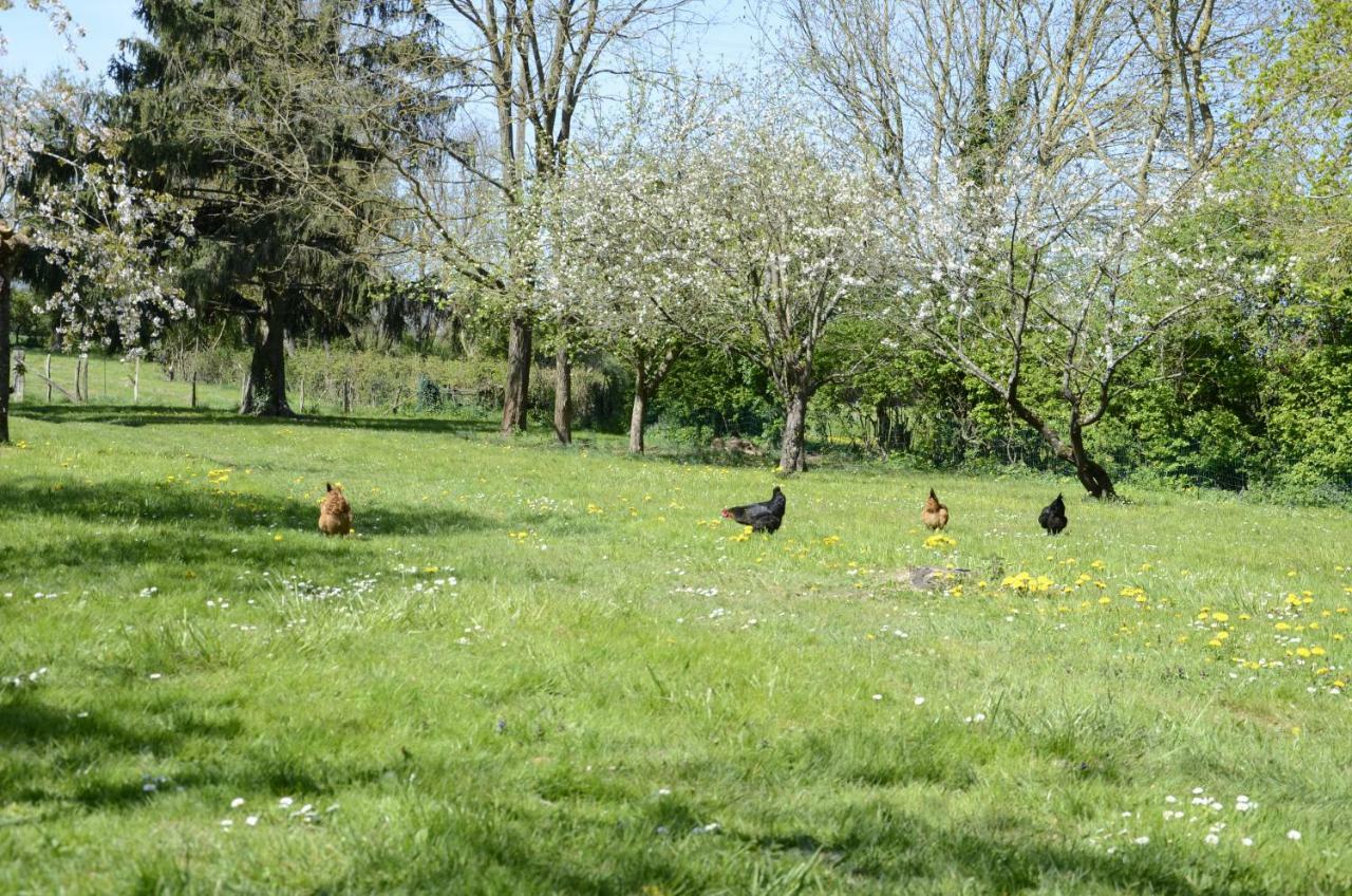 Hamac Et Potager Gite Et Chambre D'Hotes La Chapelle-de-Bragny Buitenkant foto