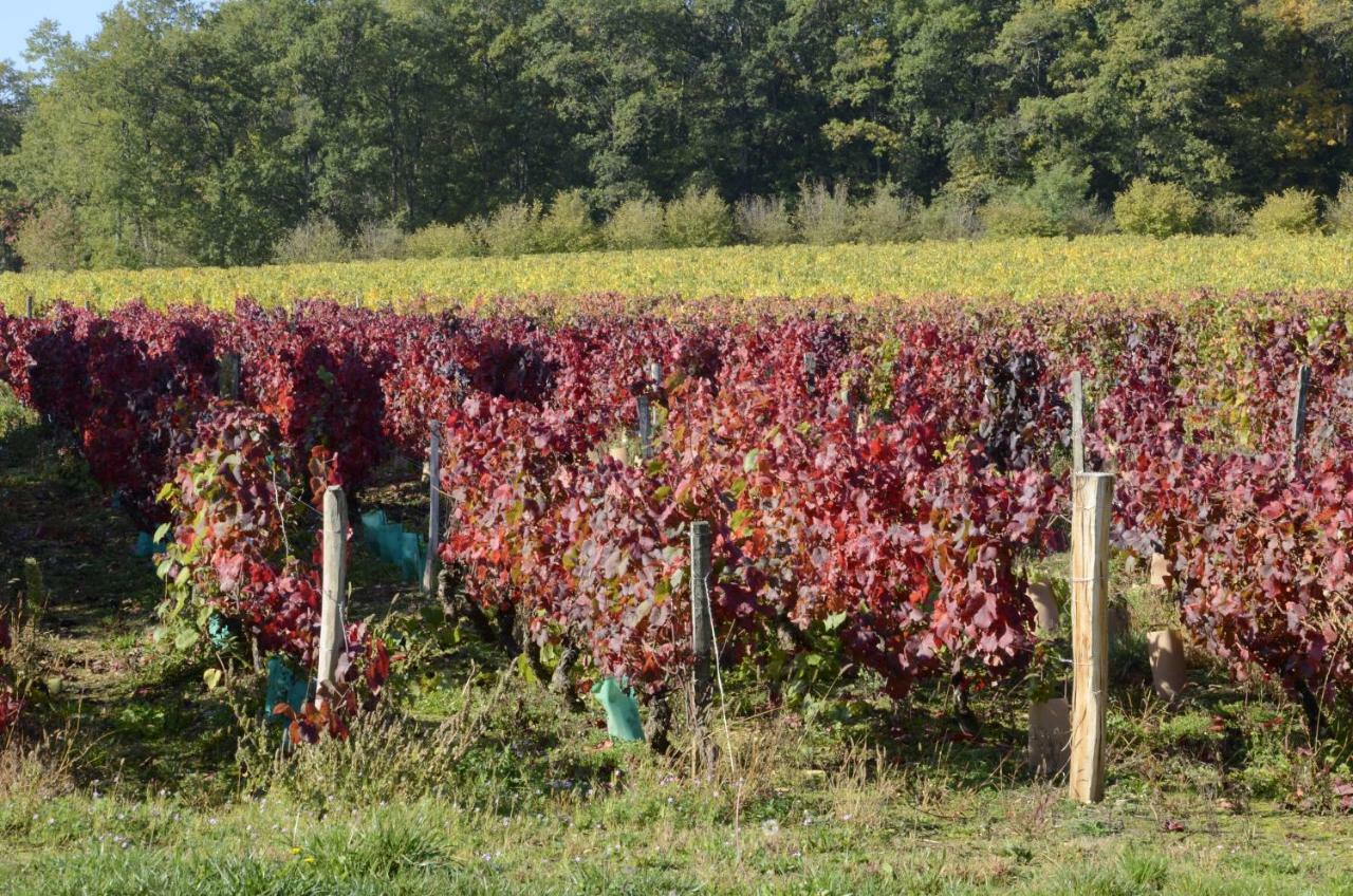Hamac Et Potager Gite Et Chambre D'Hotes La Chapelle-de-Bragny Buitenkant foto